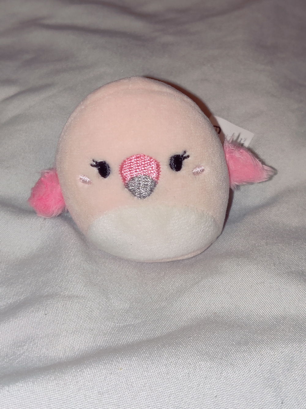 🌟Squishmallow Mini Cody Flamingo 🦩  2 " Kelly Toy